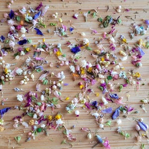 Extra Tiny Real Craft Flowers | Resin Art Flowers | Jewelry Making Tiniest Dried Flowers | Mini Flower Buds, smallest natural flowers