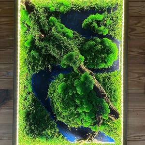 Handcrafted Preserved Moss Wall Art with LED Lighting–50x70 cm Forest Panel–Eco-Friendly Home Decor with Red Oak Frame–Unique Green Wall Dec