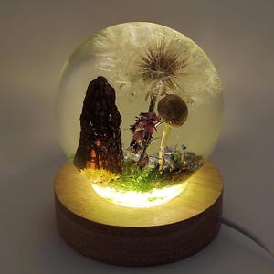 Forest nightstand decor, real mushroom lamp, resin lamp, nature lover gift