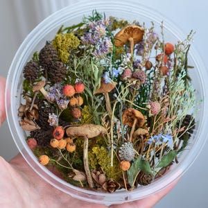 Forest set of dried mushrooms, berries, moss, lichen, heather and plants for resin jewelry casting, terrarium making, plants for resin